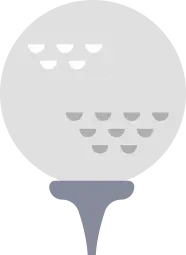 ゴルフボール